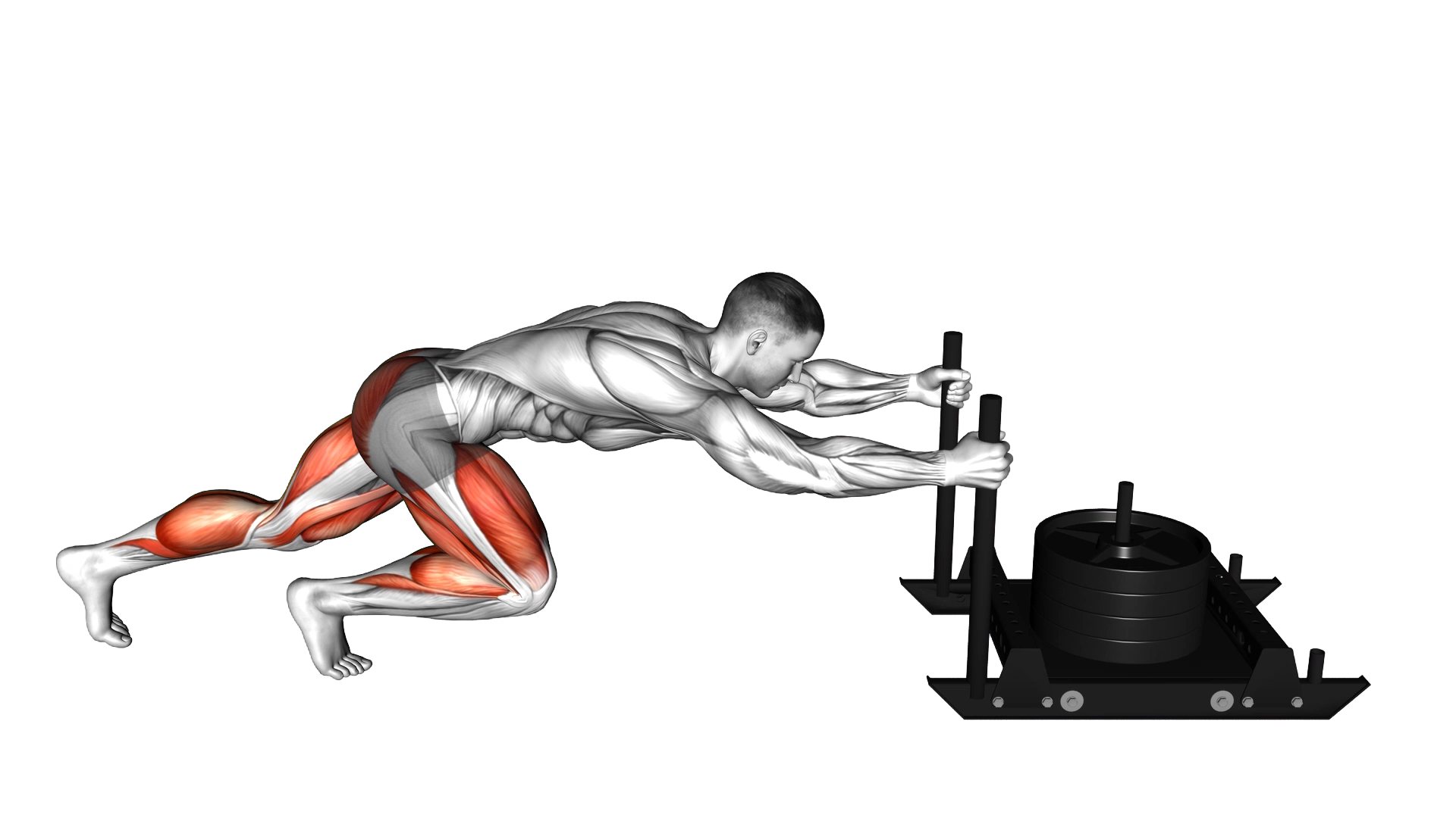 Power Sled Push exercise demonstration