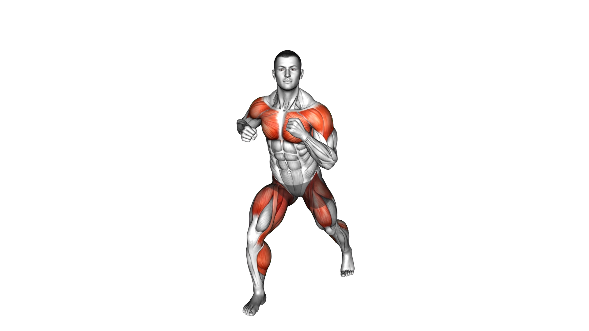 Side Punch with Opposite Leg Lift exercise demonstration