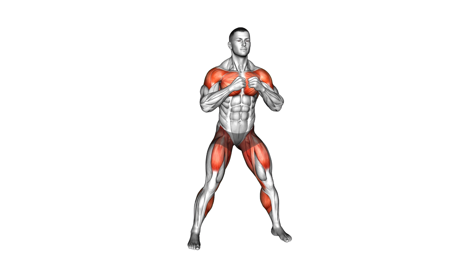 Alternating Hamstring Curl with Punche exercise thumbnail