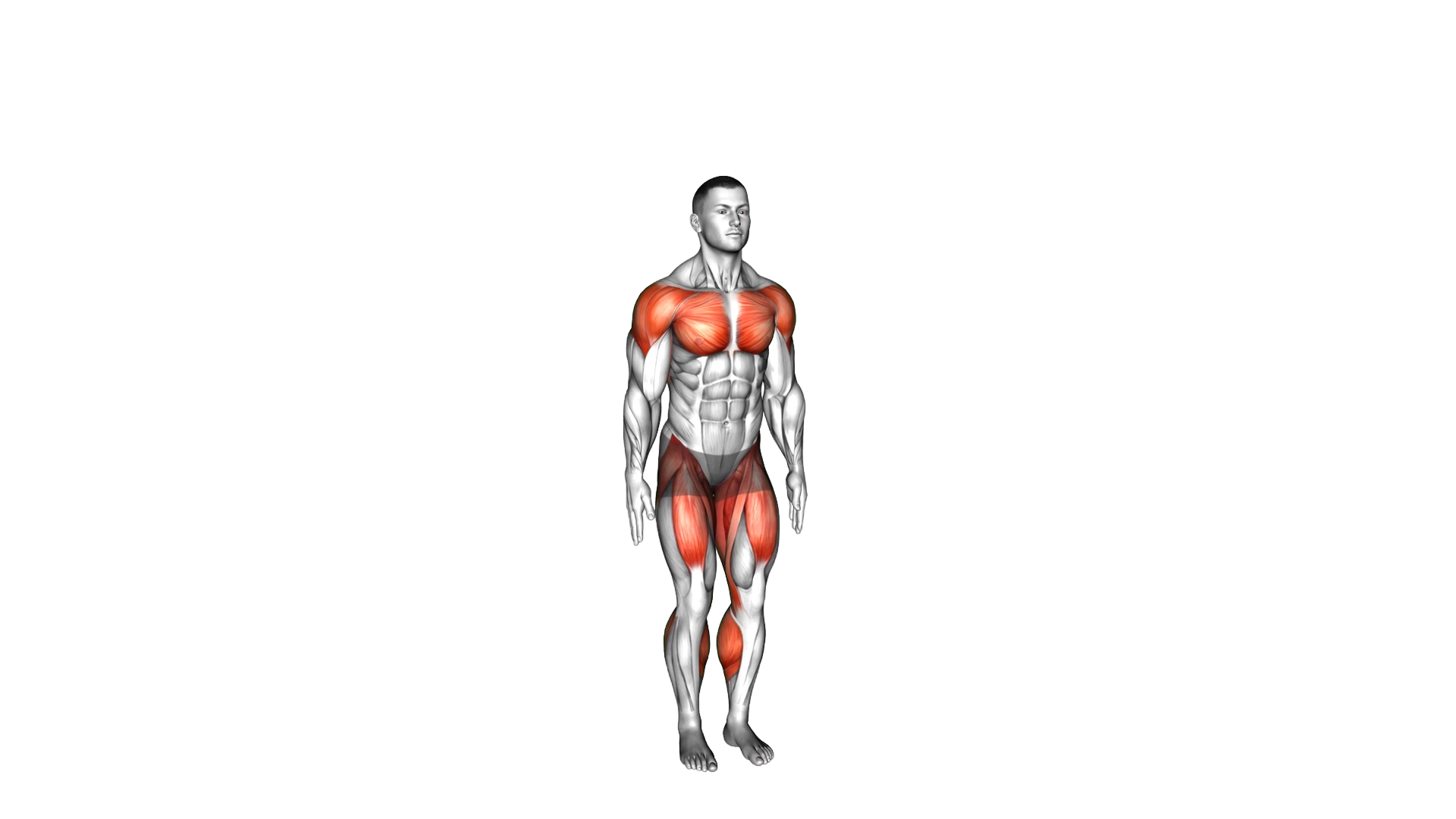 Jack Step exercise demonstration