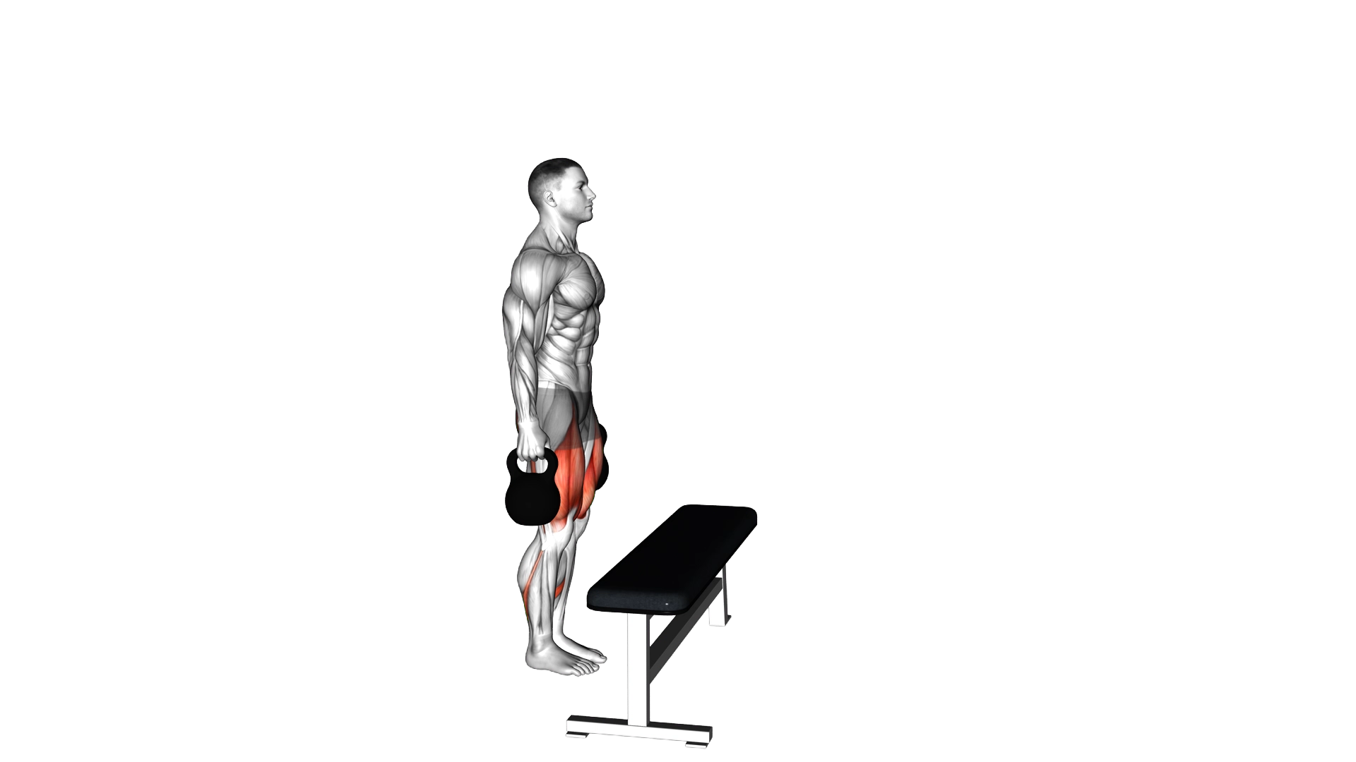 Kettlebell Step up exercise demonstration