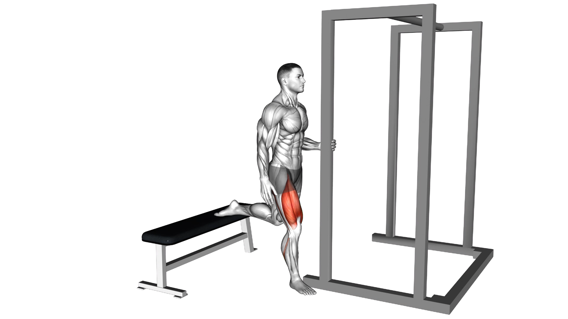 Assisted Bulgarian Split Squat exercise demonstration