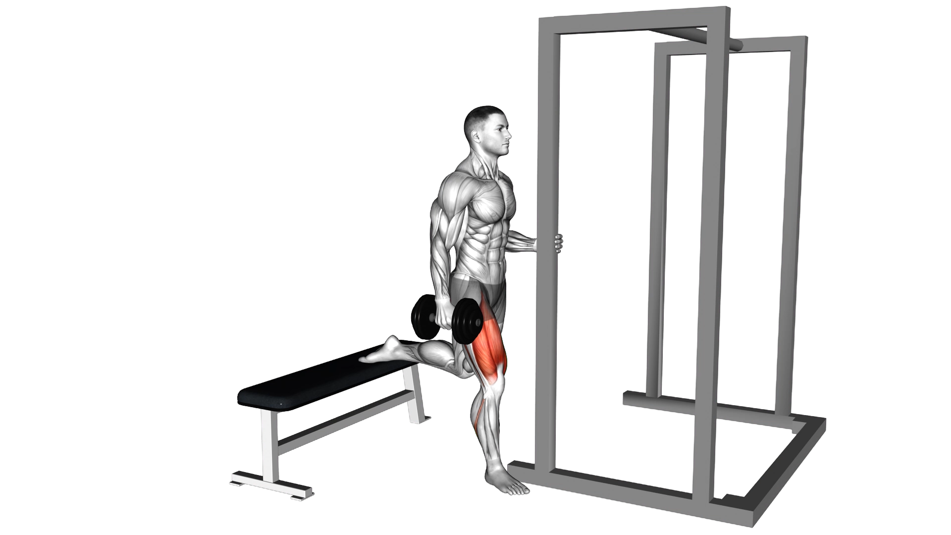 Dumbbell Assisted Bulgarian Split Squat exercise demonstration
