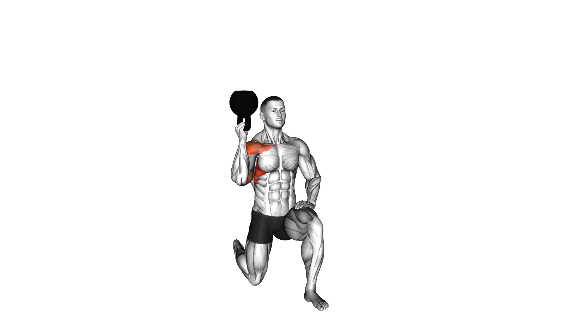 Kettlebell Half Kneeling One Arm Bottoms Up Press exercise demonstration