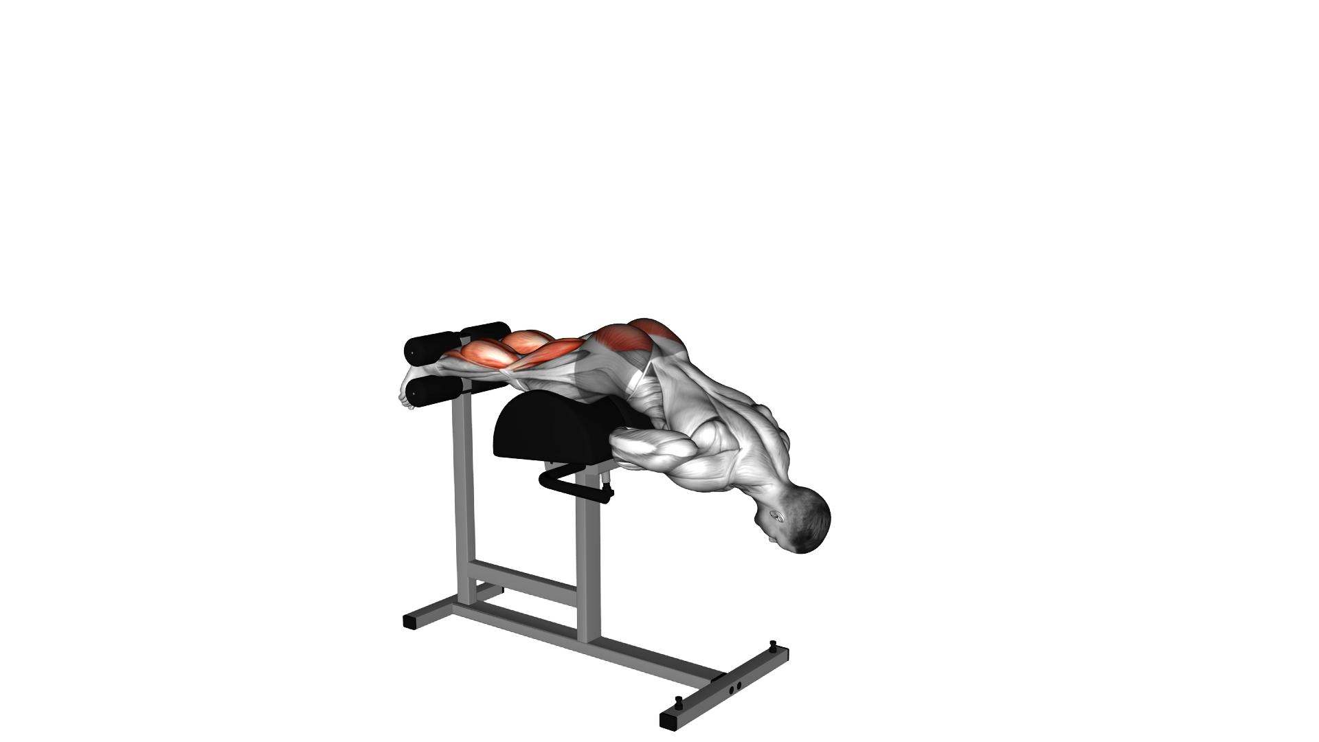Glute Ham Raise exercise demonstration