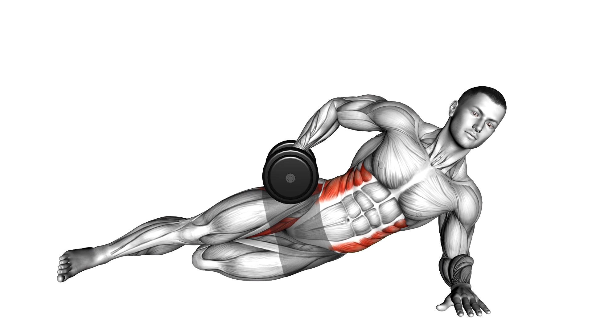 Dumbbell Side Bridge with Bent Leg exercise demonstration