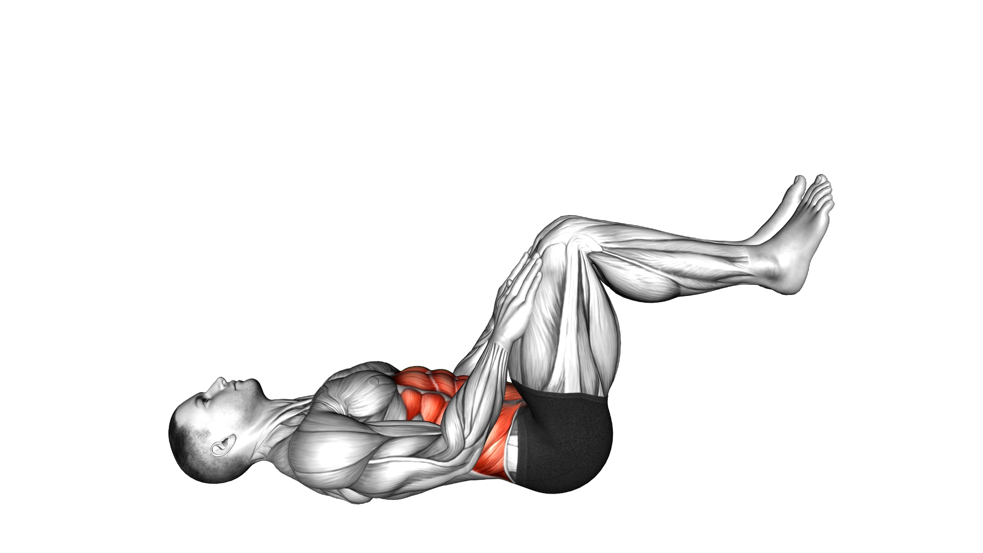 Lying Ab Press exercise demonstration