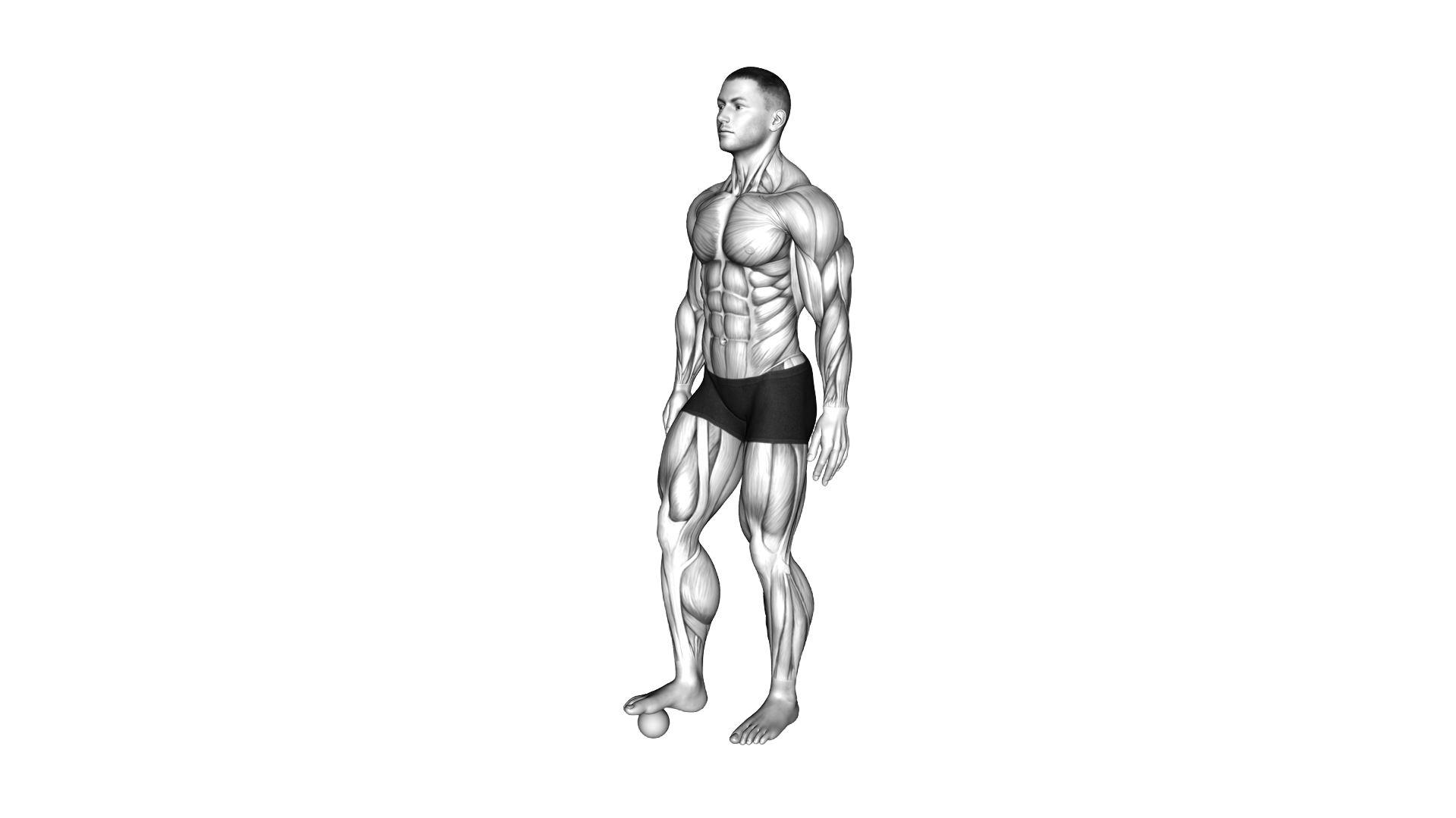 Roll Ball Foot exercise thumbnail