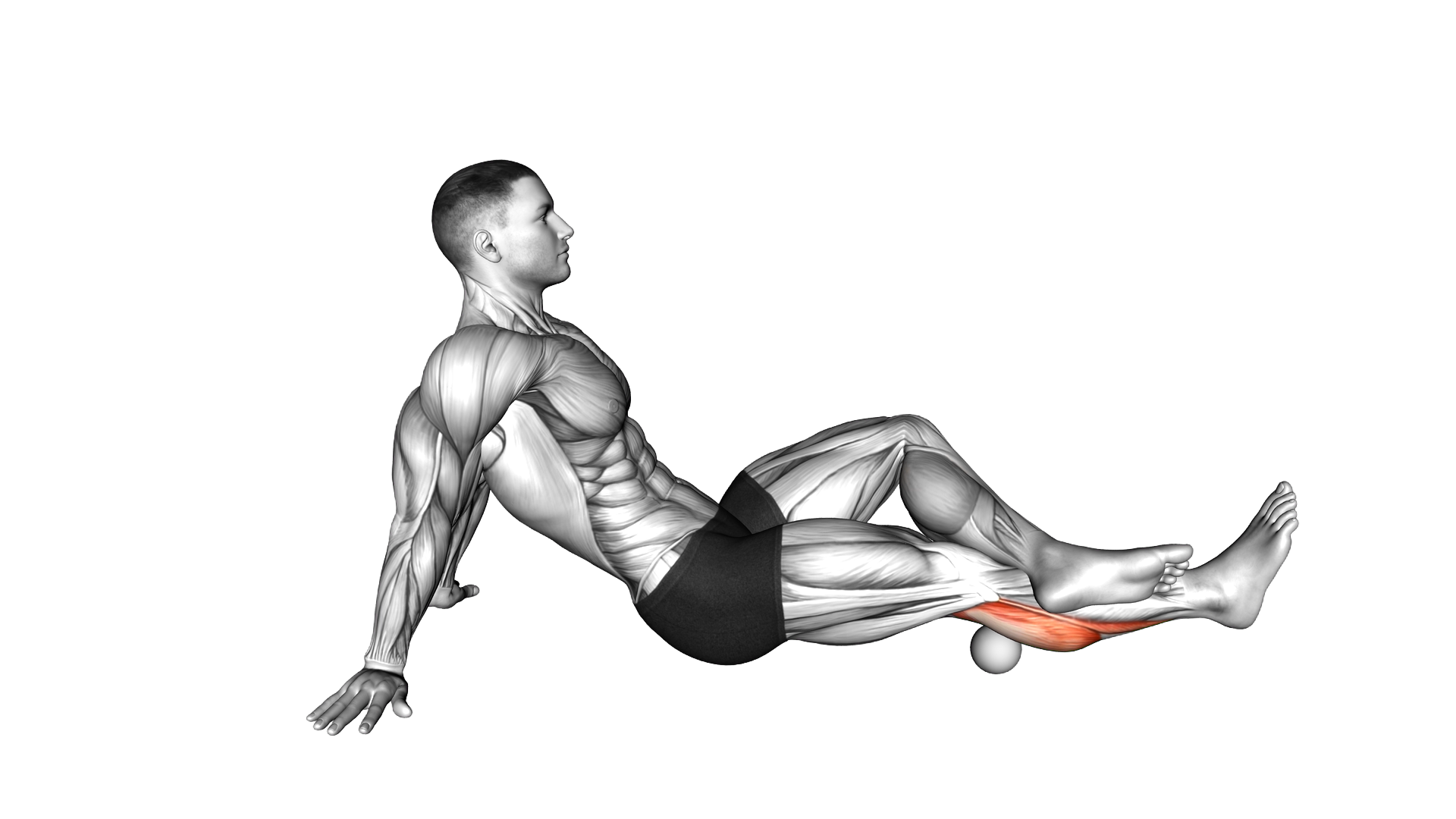 Roll Ball Calf Stretch exercise thumbnail