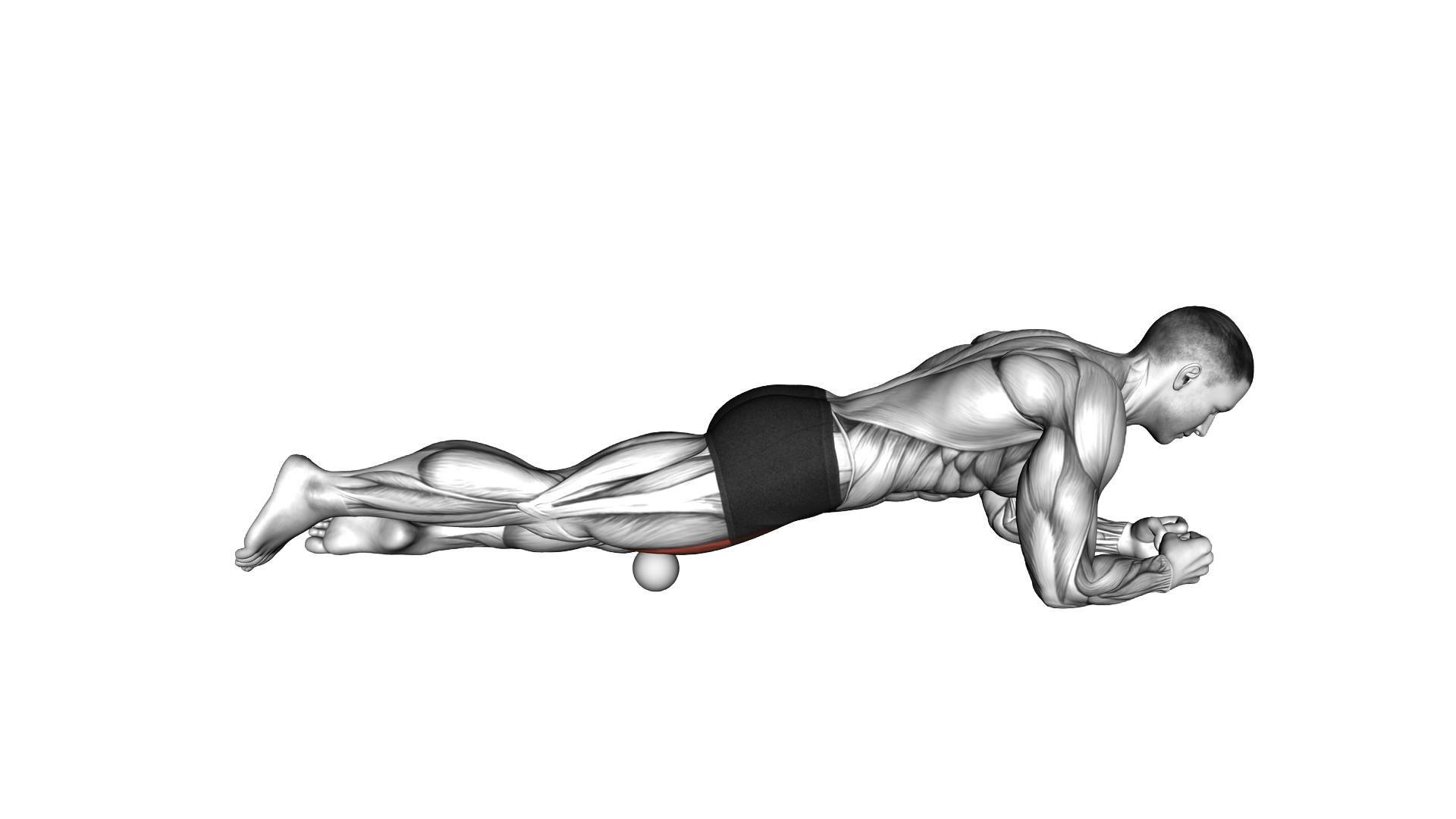Roll Ball Rectus Femoris Stretch exercise demonstration