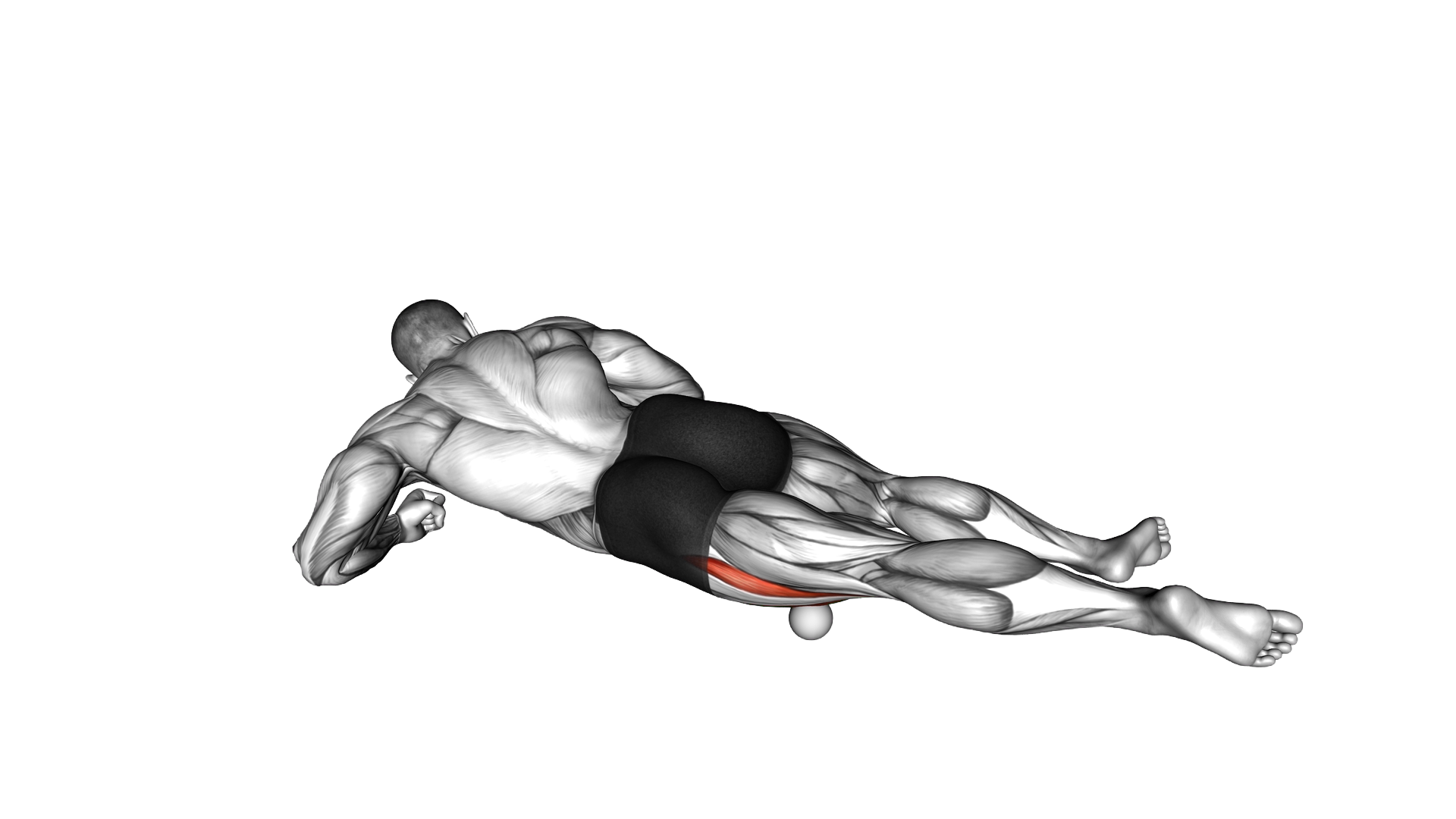 Roll Ball Lateral Vastus exercise thumbnail