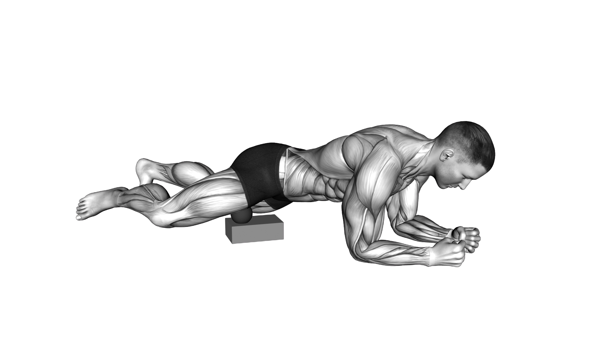 Roll Ball Adductors exercise thumbnail