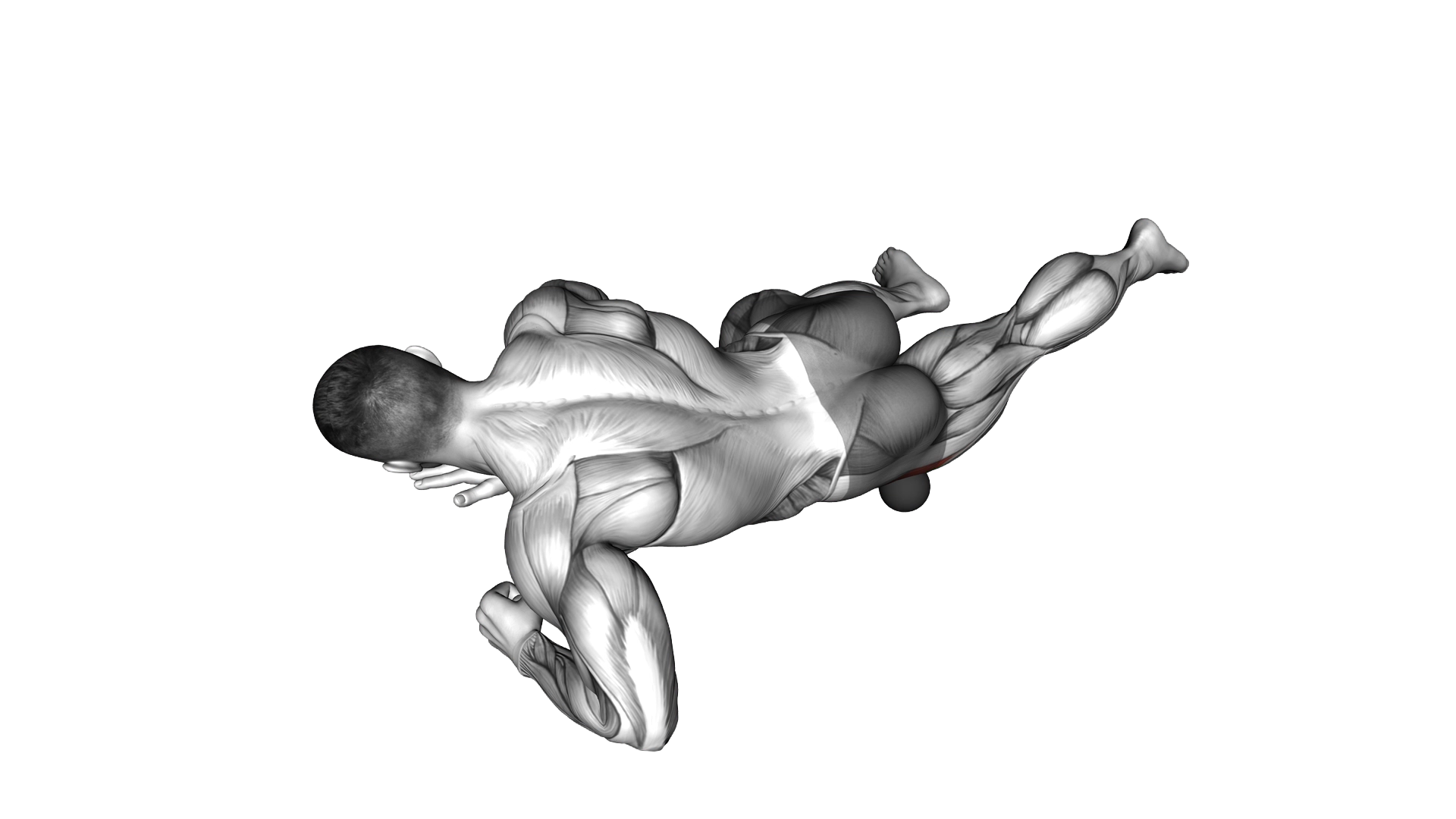 Roll Ball Tensor Fasciae Latae exercise demonstration
