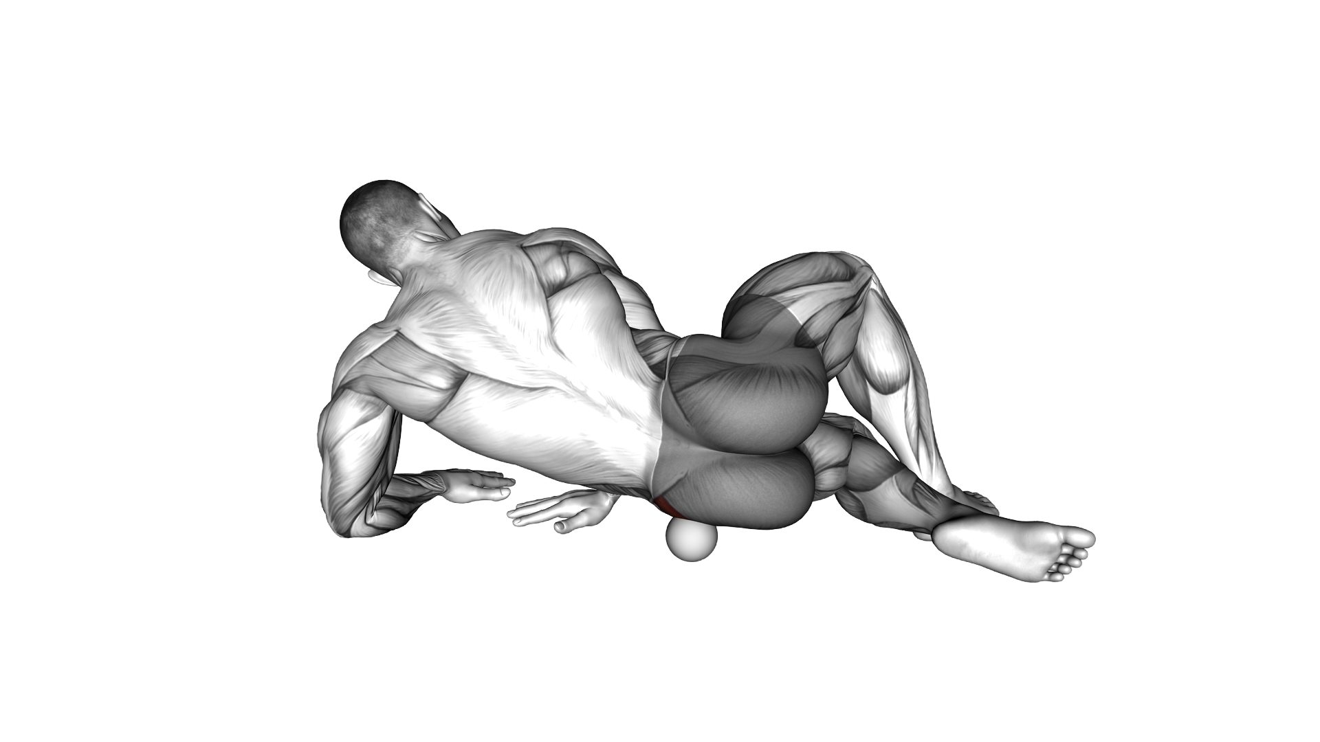 Roll Ball Gluteus Medius exercise thumbnail