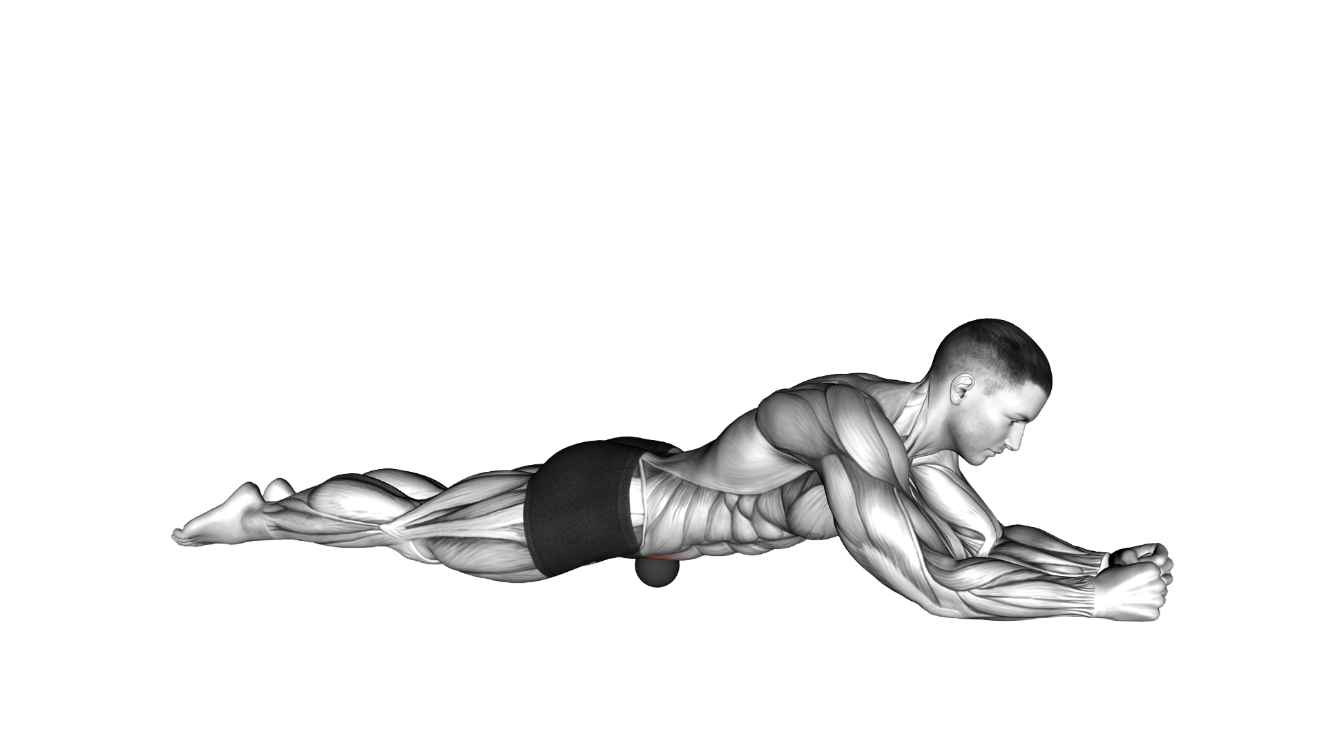 Roll Ball Iliacus Abdominal Region exercise demonstration