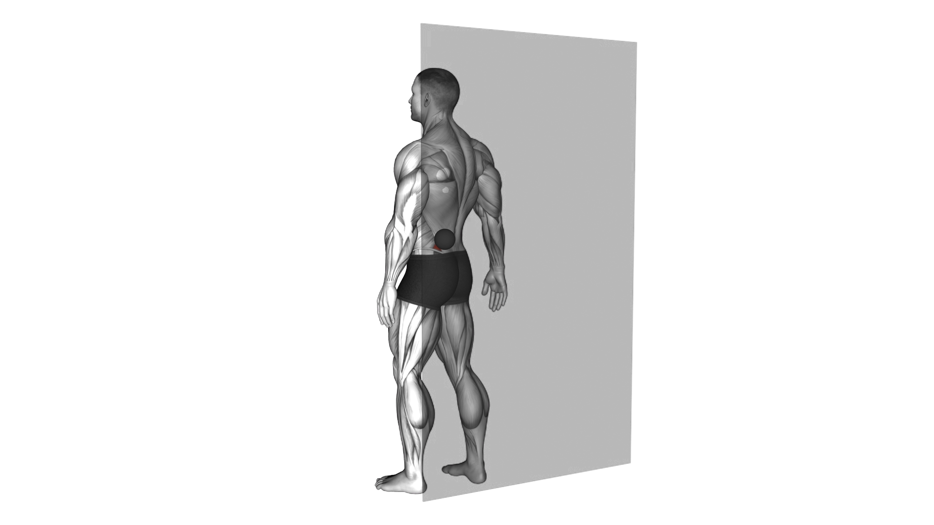 Roll Ball Lumbar Diagonal exercise demonstration