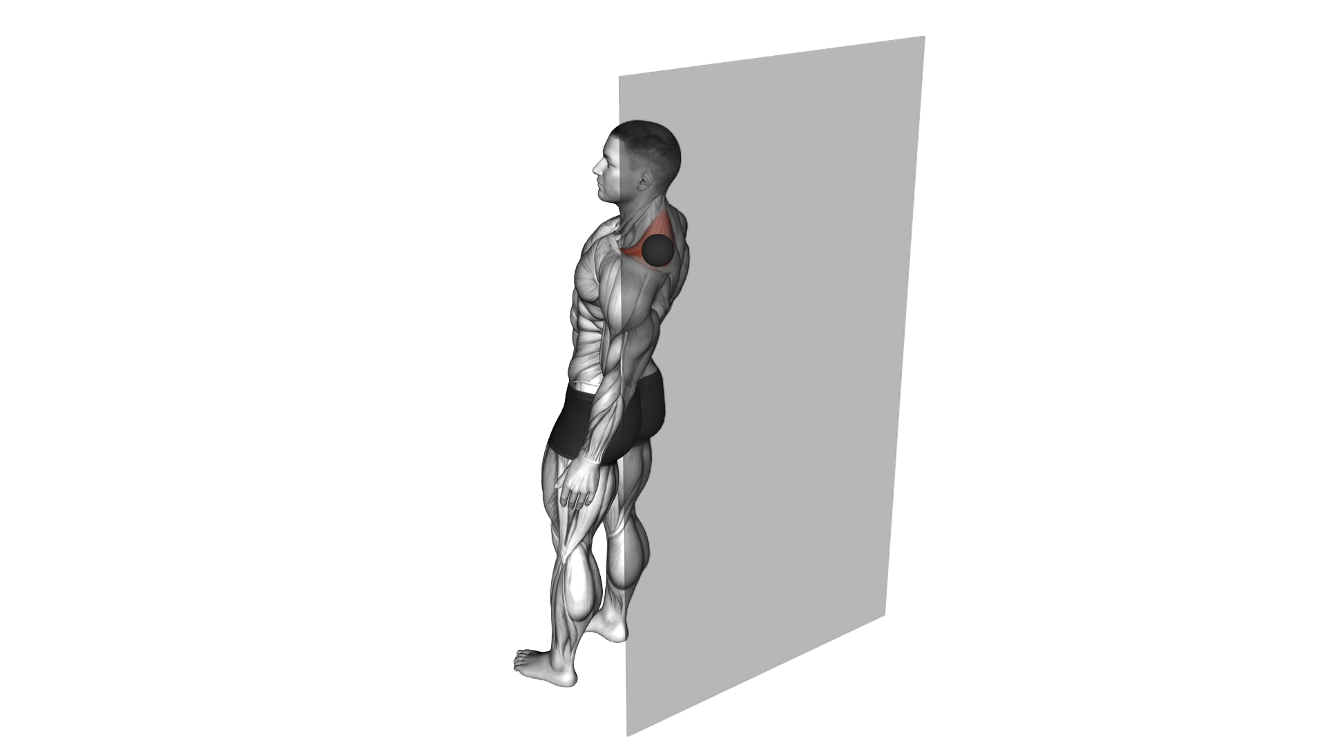 Roll Ball Trapezius Upper Stretch exercise demonstration