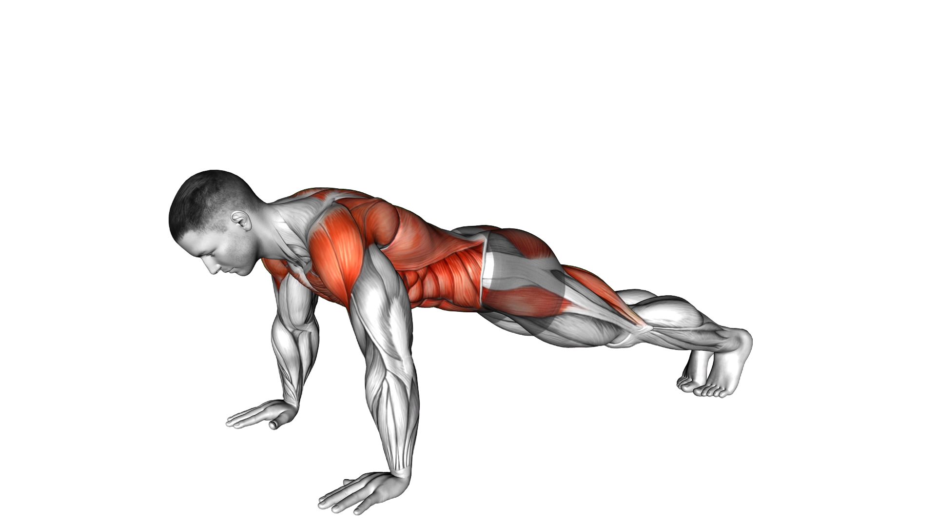 Bodyweight Front Plank to Downward Dog exercise demonstration