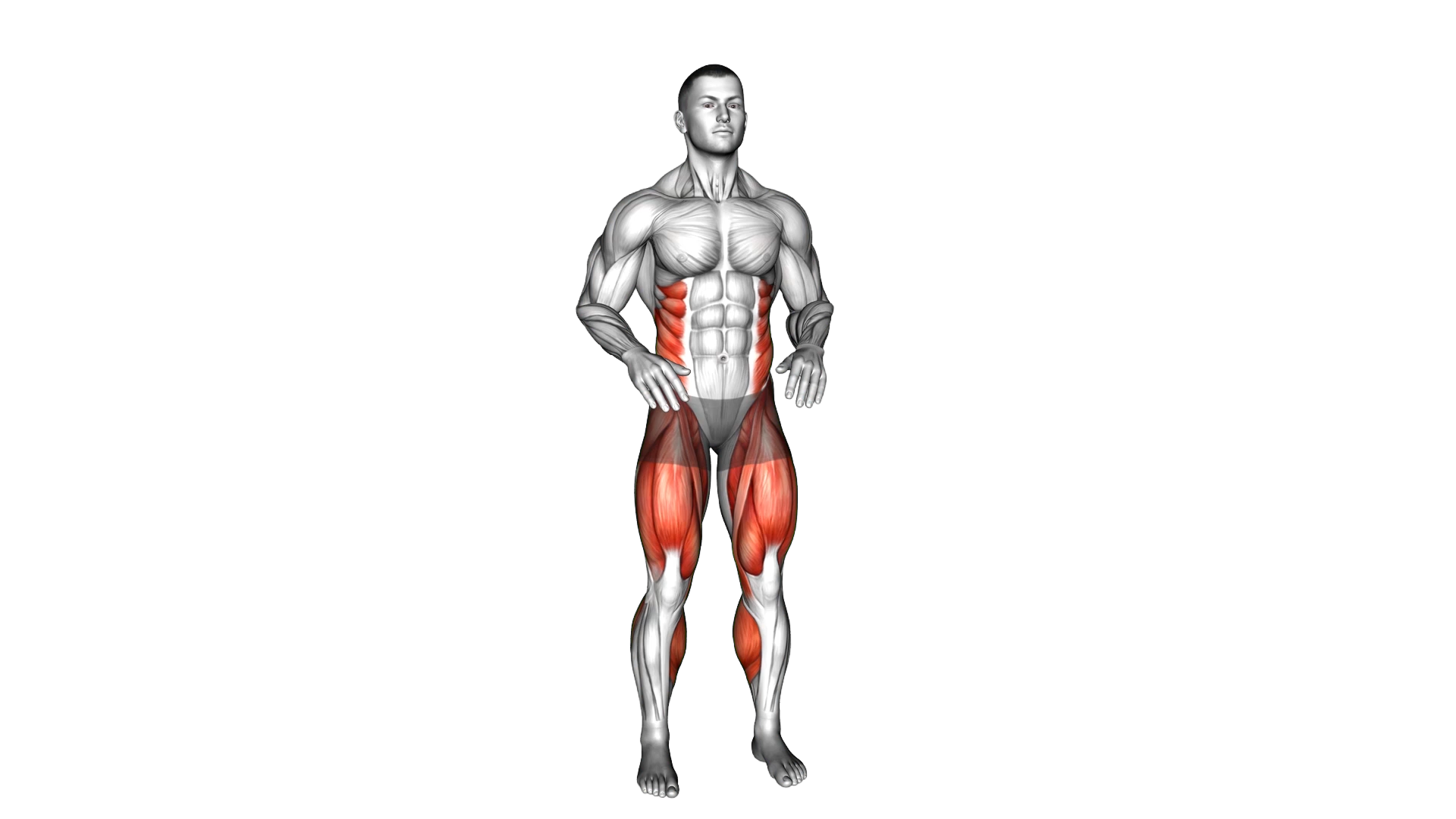 Bodyweight Knee To Hand Tap exercise demonstration