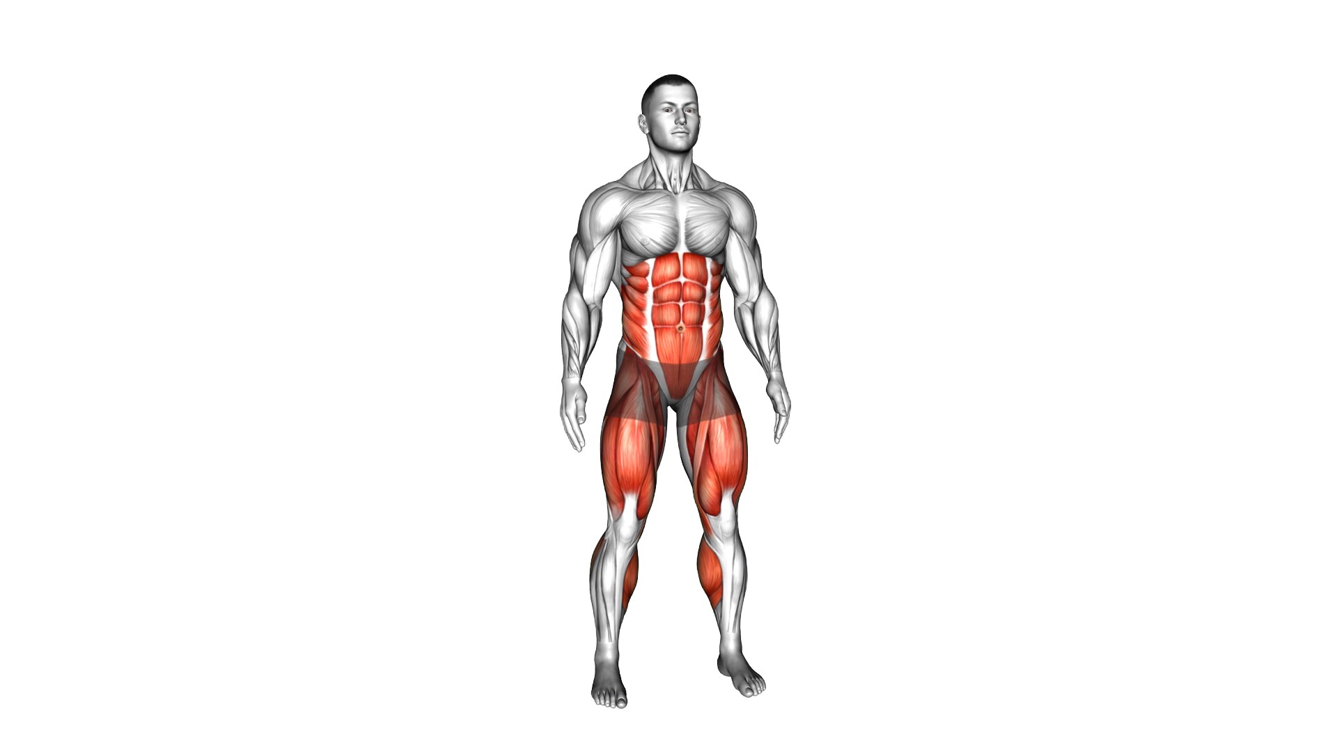 Bodyweight Squat to Front Leg exercise demonstration