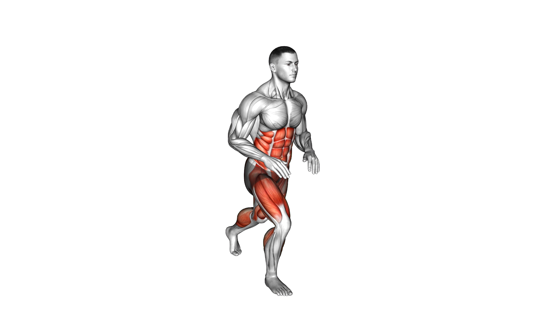 Bodyweight Knee Thrust exercise demonstration