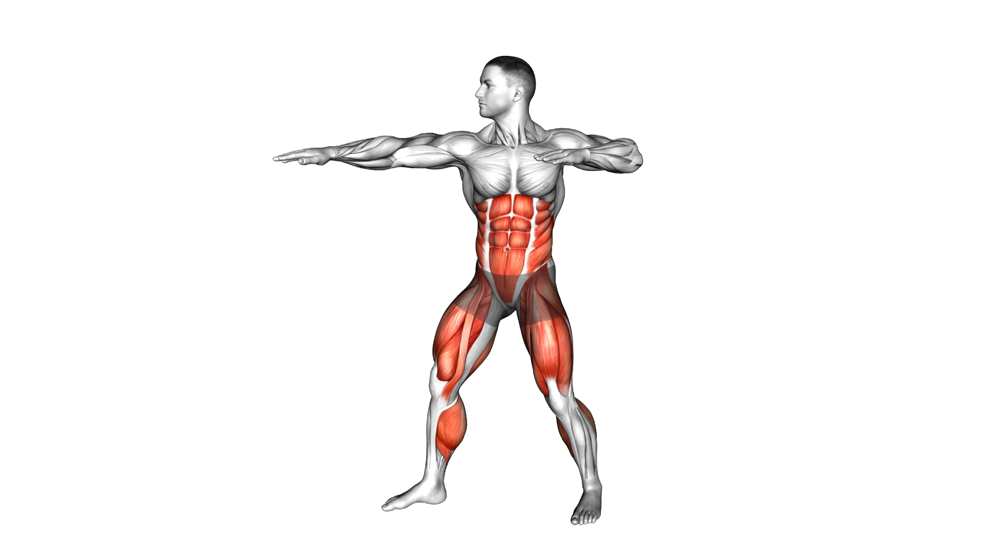 Punch Twist exercise demonstration
