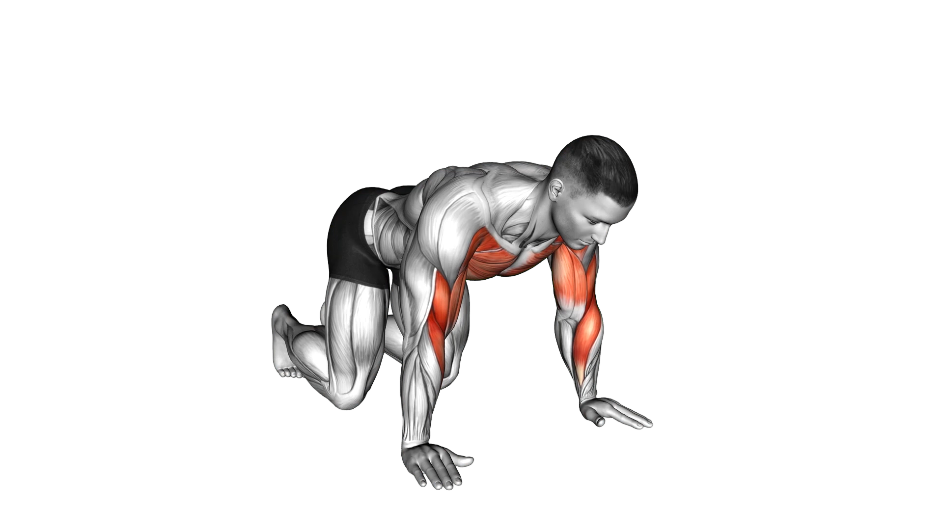 Kneeling Shoulder Tap exercise demonstration