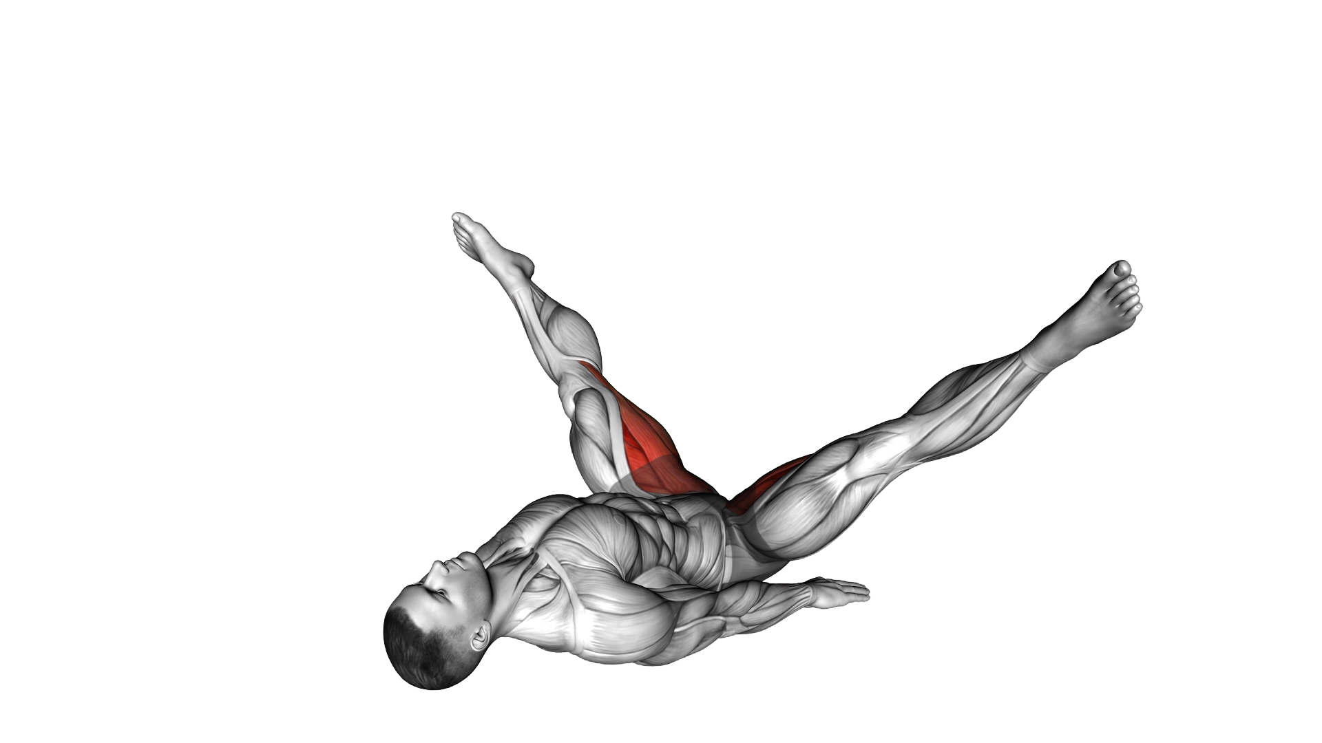 Adductor Stretch exercise demonstration