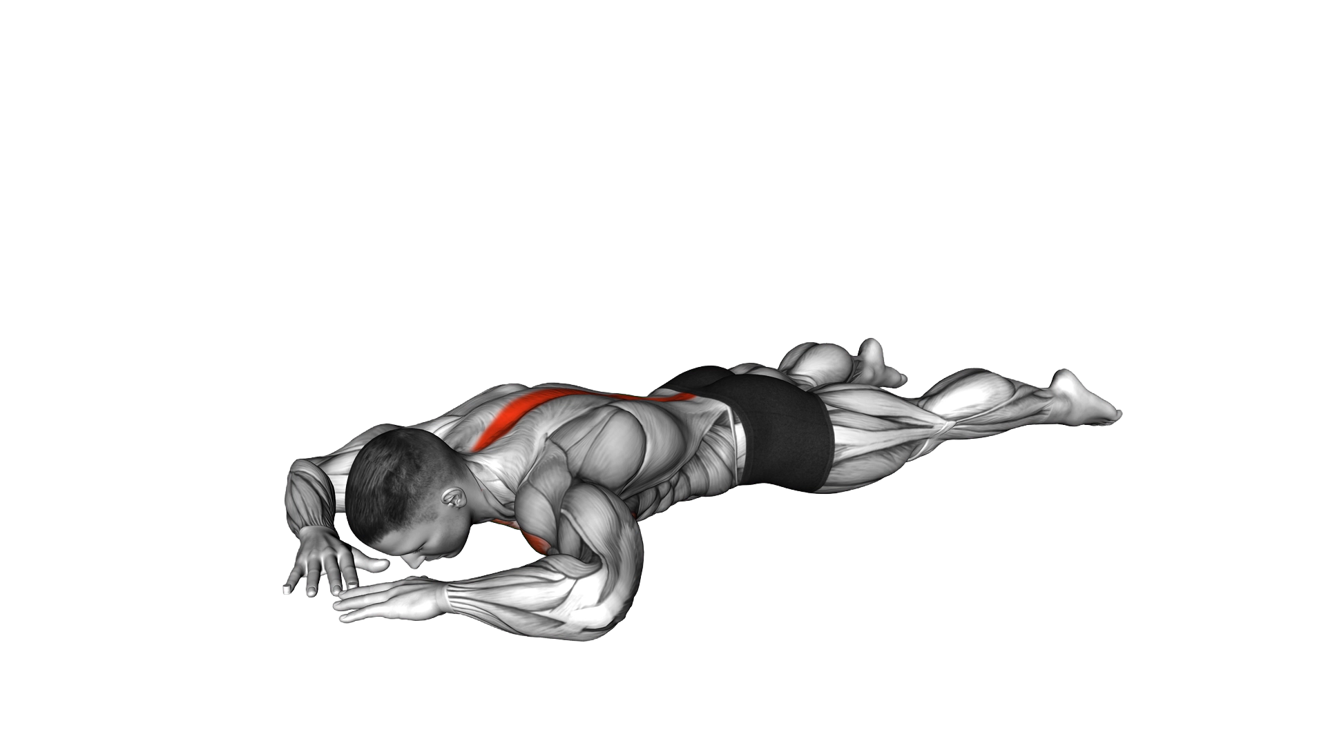 Diamond Press exercise demonstration