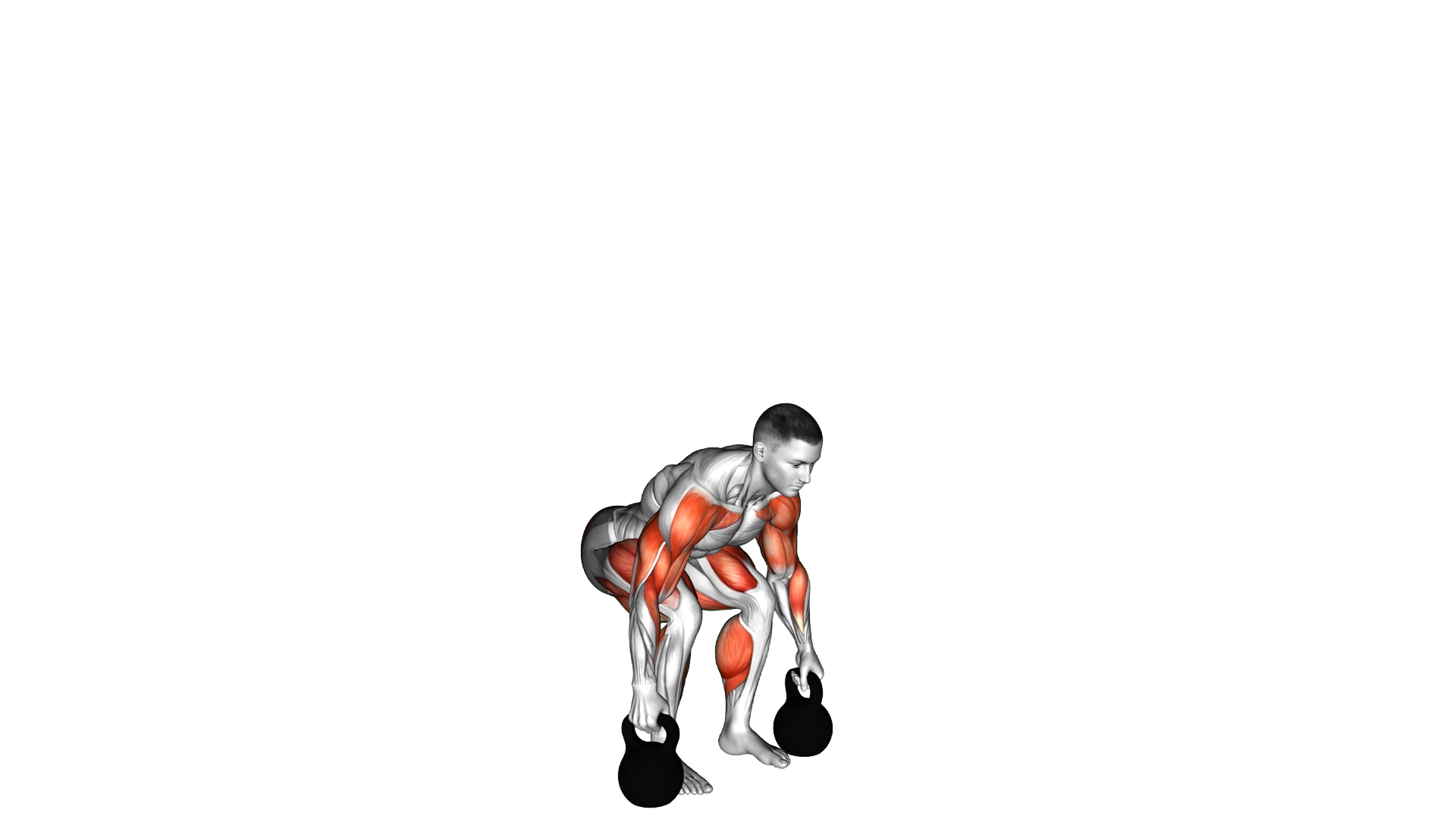 Kettlebell Clean and Jerk exercise demonstration