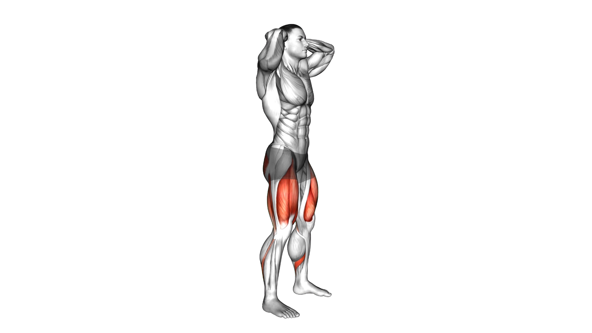 Good Morning Squat exercise demonstration