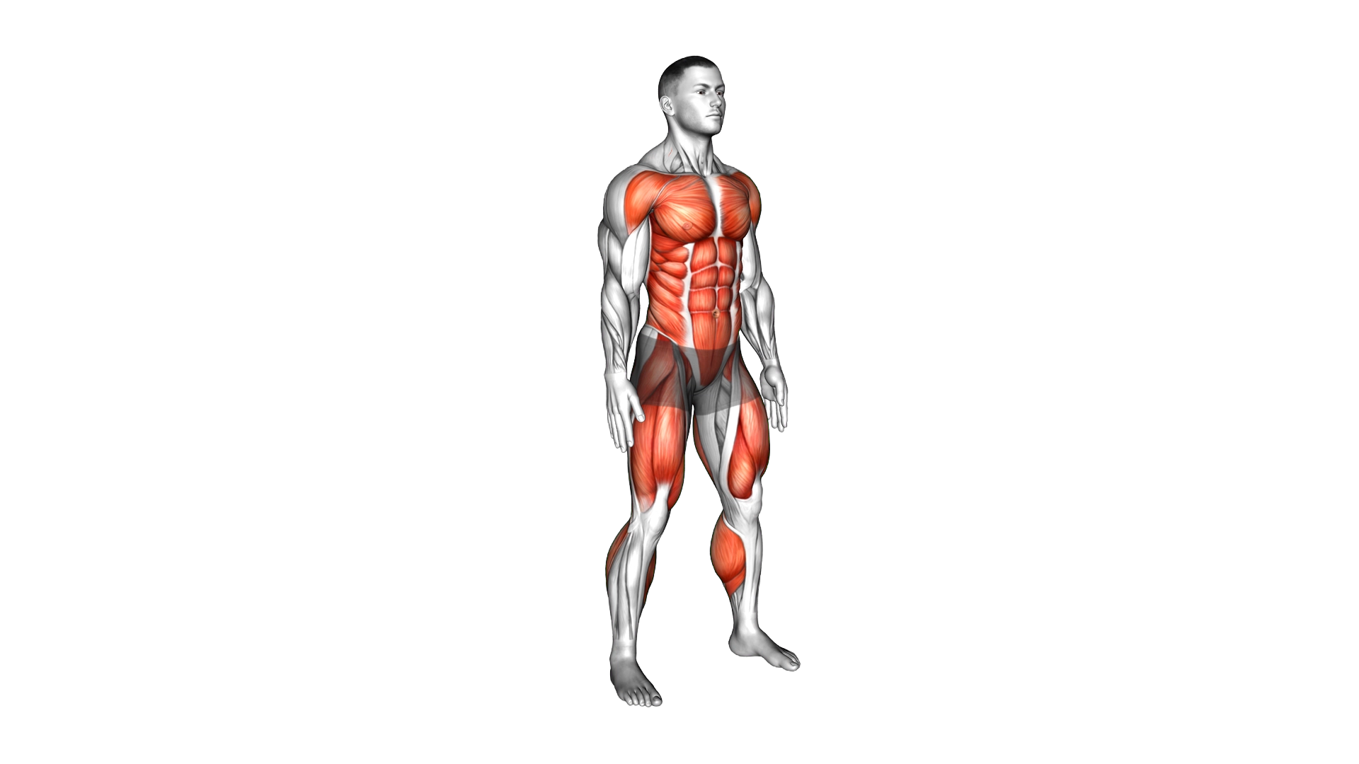 Burpee Squat exercise demonstration