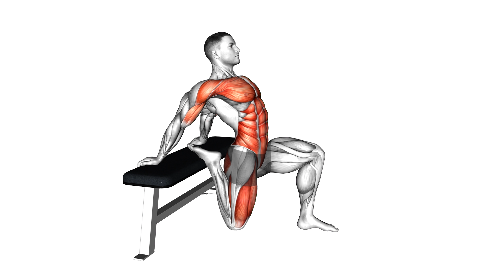 Couch Stretch exercise demonstration