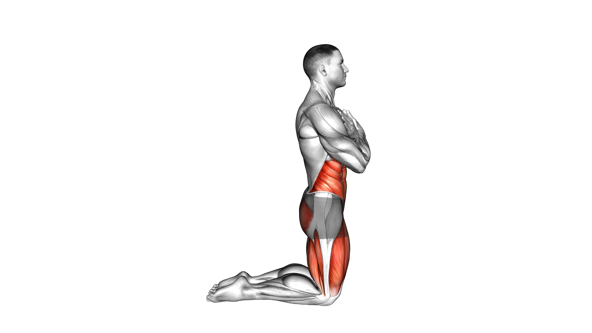 Body Extension (Backward Reach) exercise demonstration