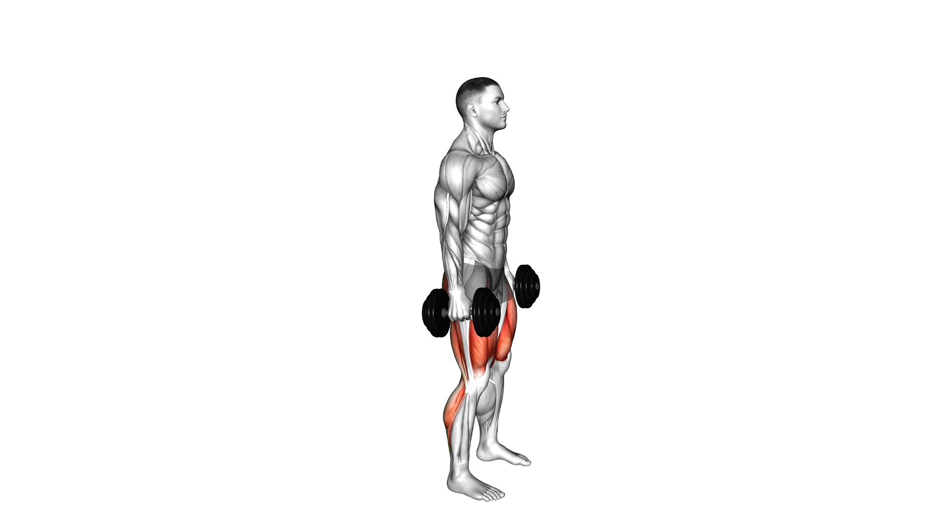 Dumbbell Squat Lunges Jump Complex exercise demonstration