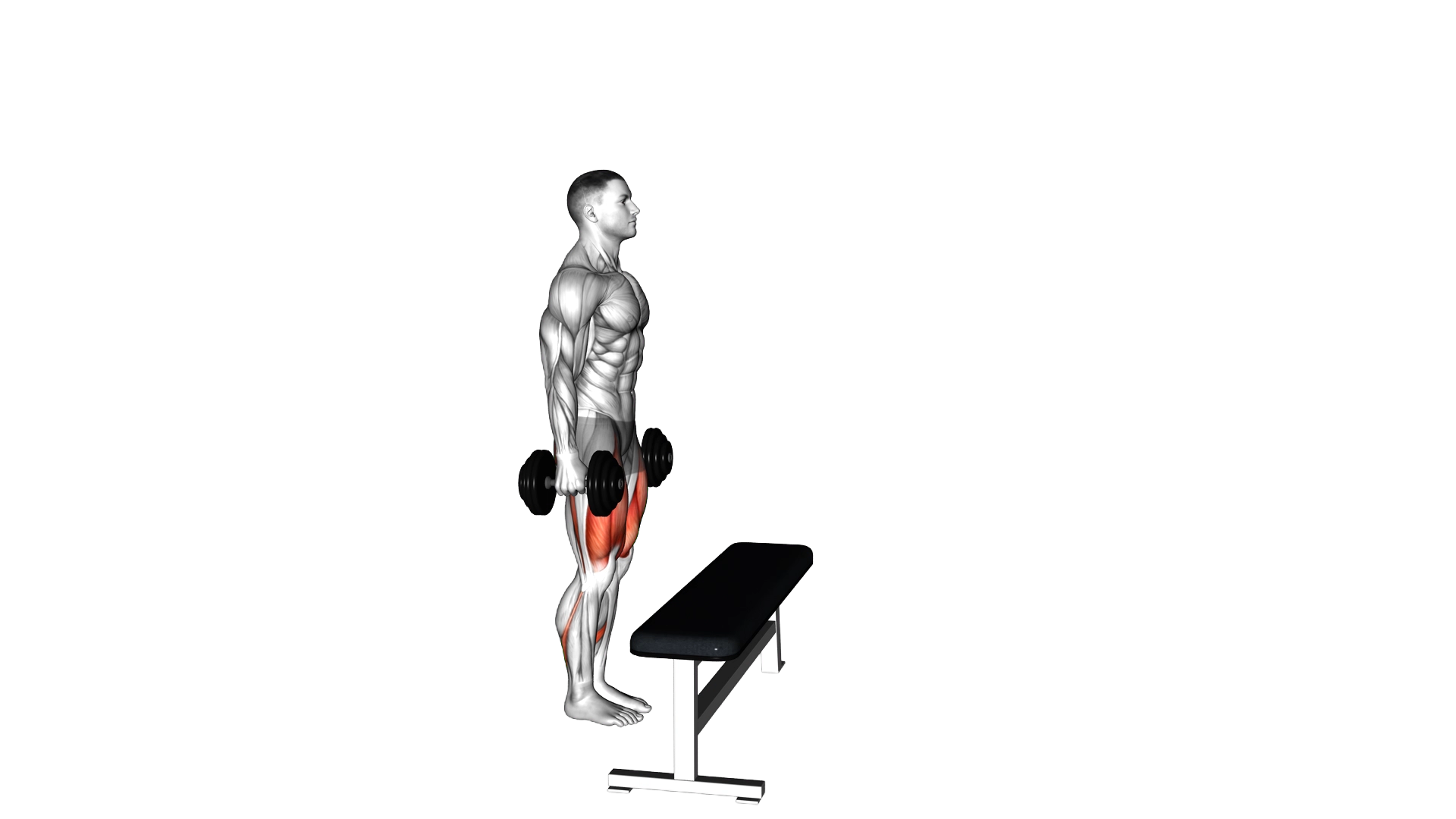 Dumbbell Step up with Knee Raise exercise thumbnail