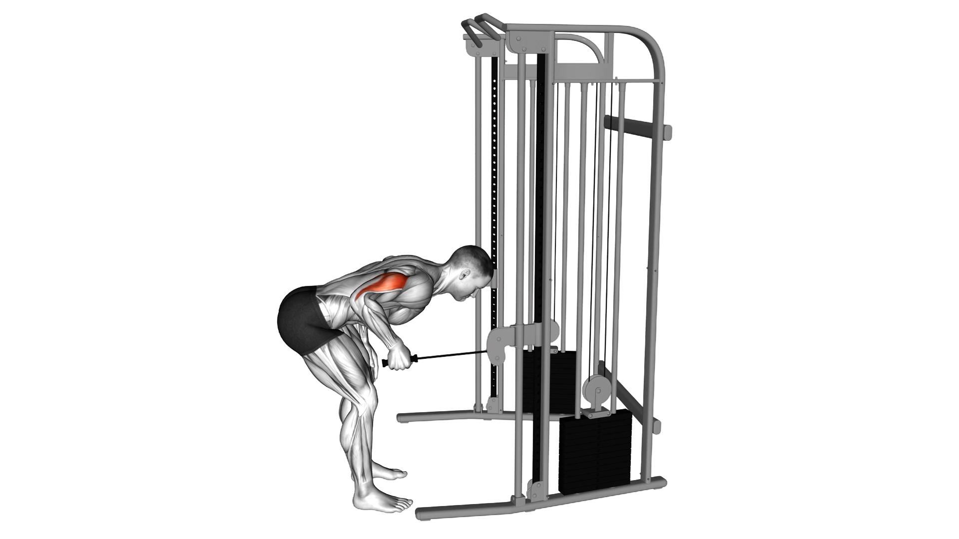 Cable Neutral Grip Kickback exercise demonstration