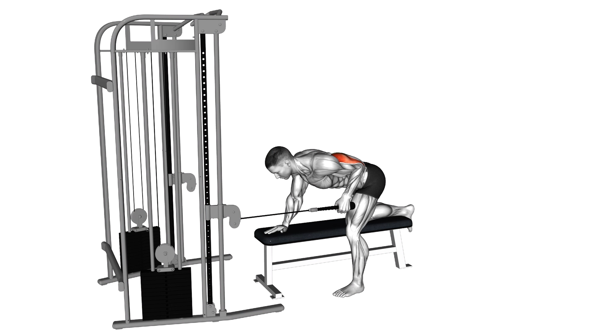 Cable Bent Over Single Arm Neutral Grip Kickback with Rope Attachment exercise demonstration