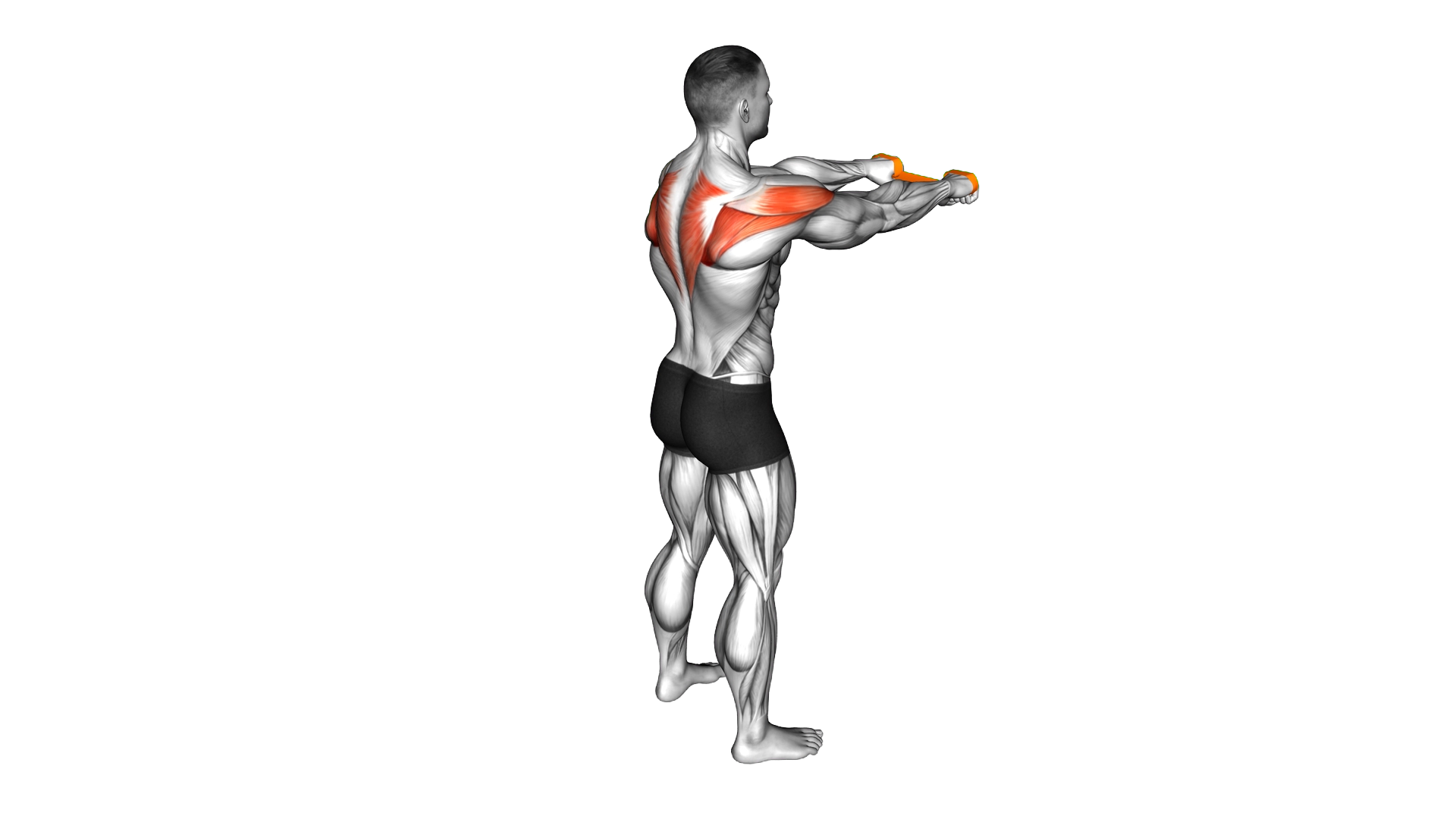 Resistance Band Pull Apart exercise demonstration
