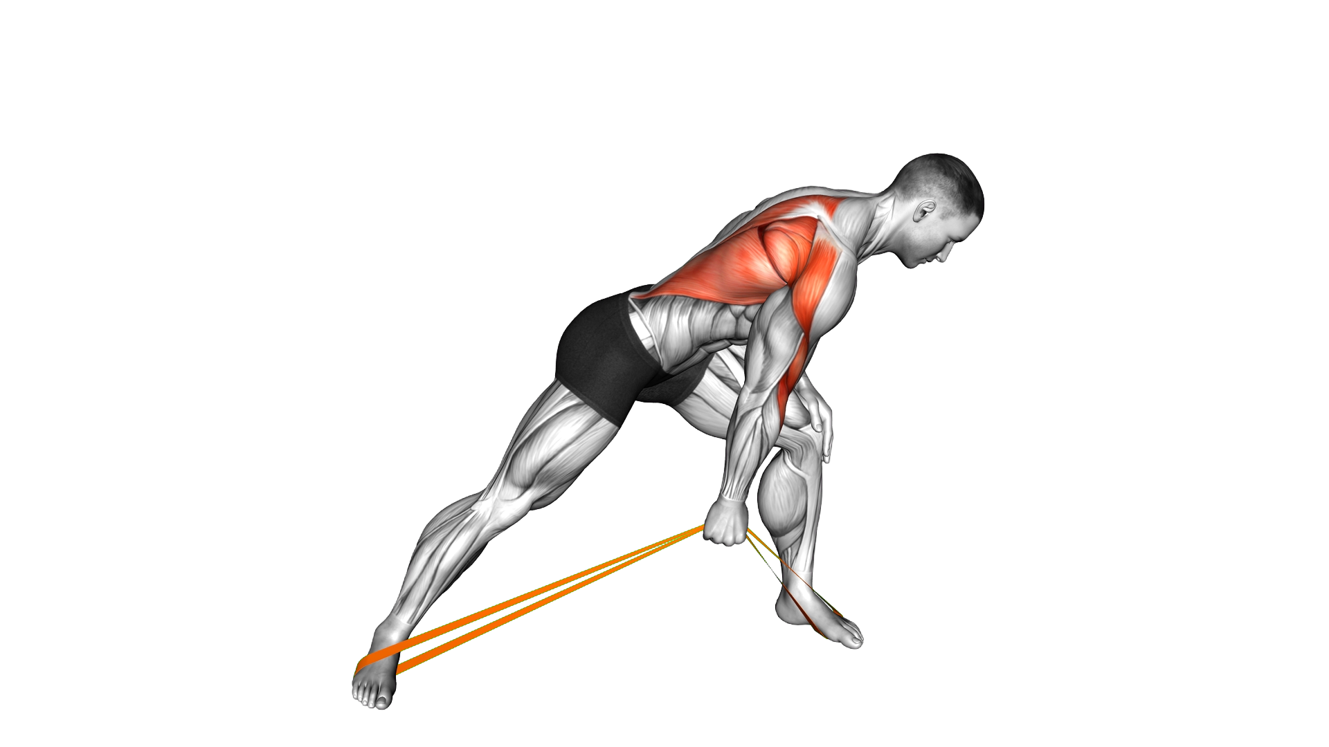 Resistance Band One Arm Bent Over Row exercise demonstration