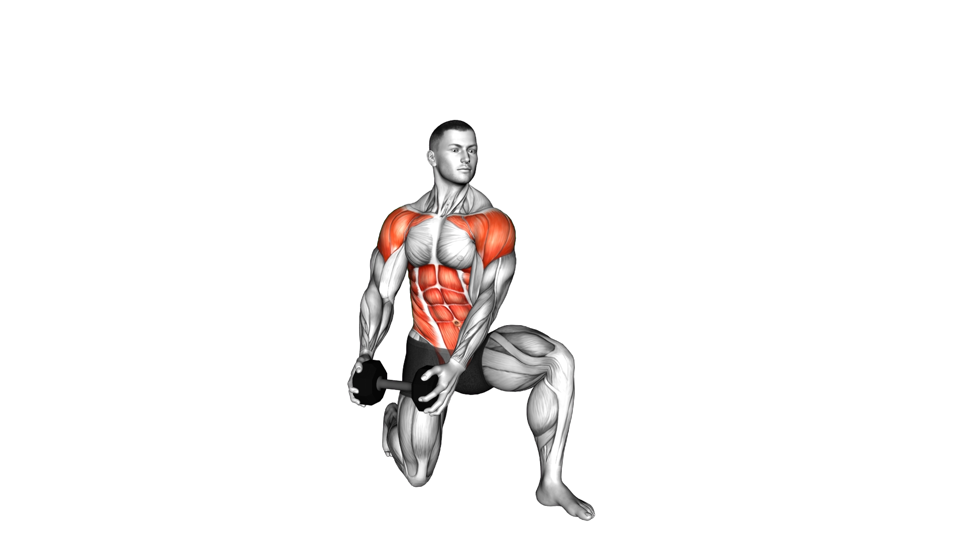 Dumbbell Half Kneeling Lift and Chop exercise demonstration
