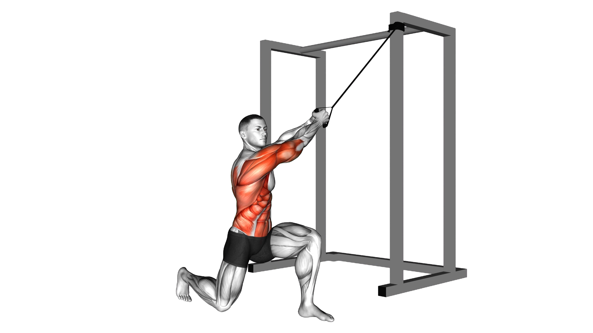 Band Half Kneeling Chop exercise demonstration