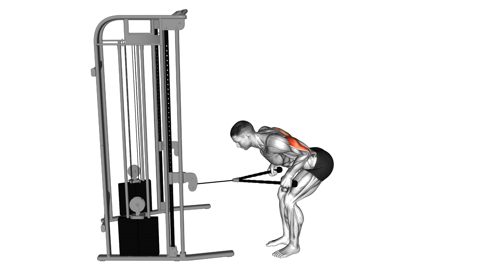 Cable Bent Over Neutral Grip Kickback with Rope Attachment exercise demonstration