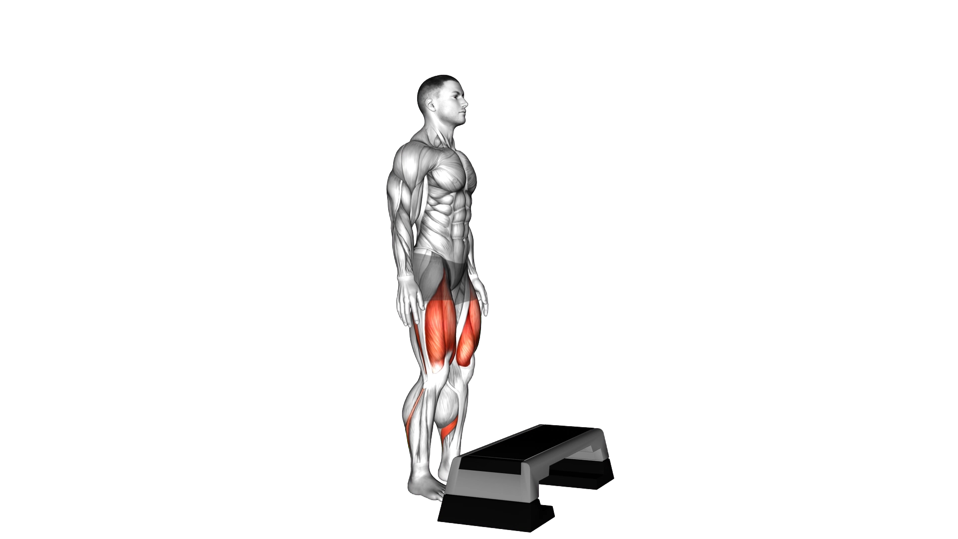 Bodyweight Step up on Stepbox exercise thumbnail