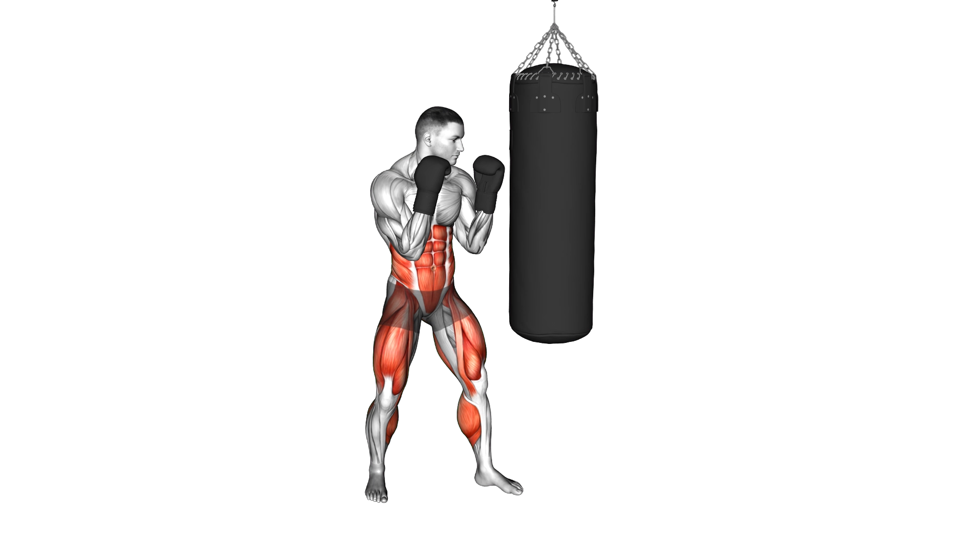 Hook Kick Kickboxing (with boxing bag) exercise thumbnail