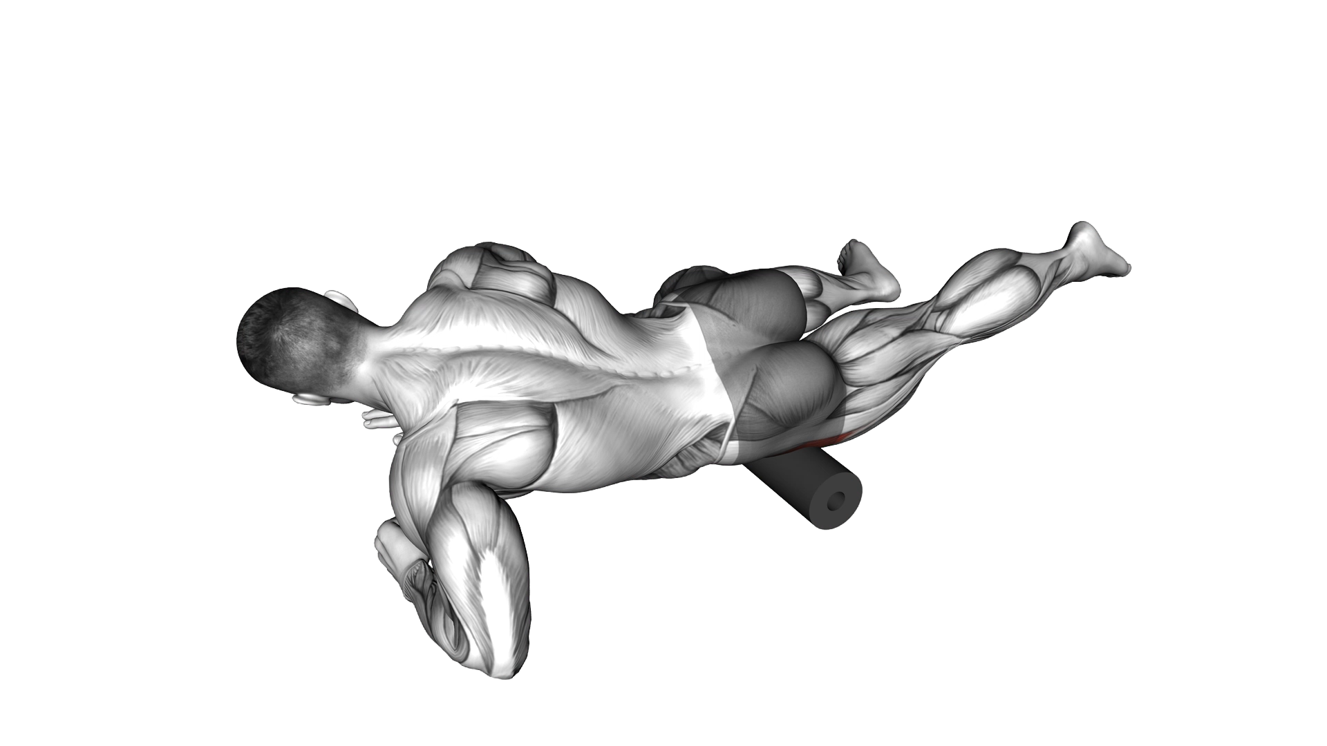 Roll Tensor Fasciae Latae exercise demonstration