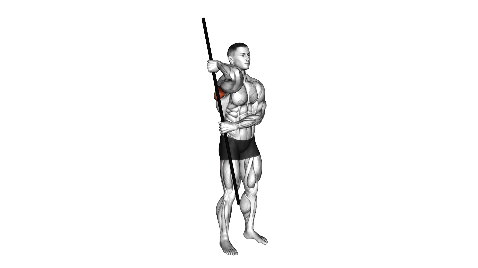 PVC External Rotation exercise demonstration