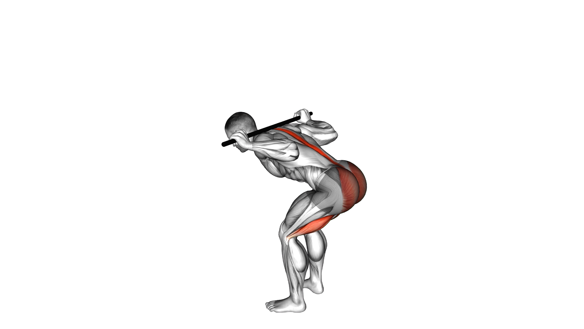PVC Good Morning exercise demonstration