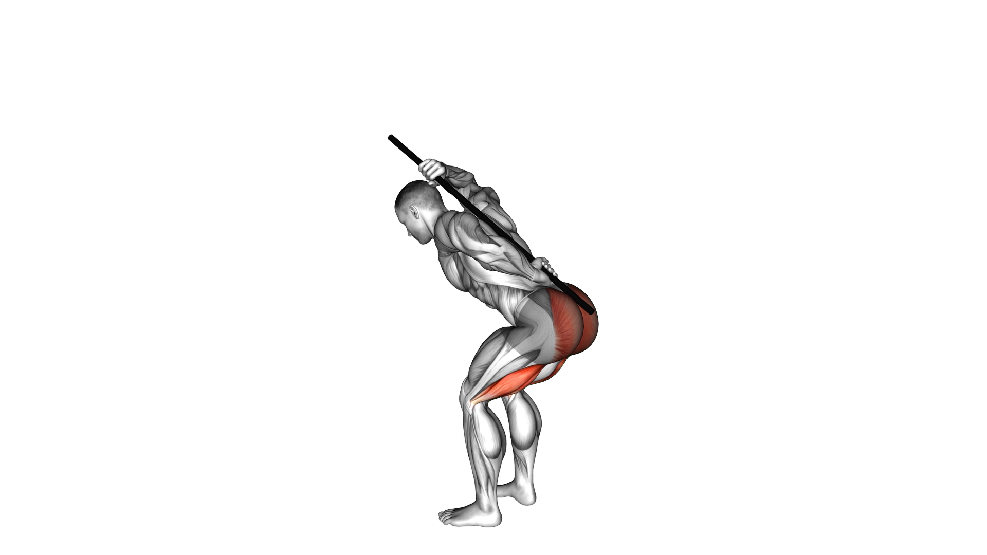 PVC Hip Hinge exercise demonstration