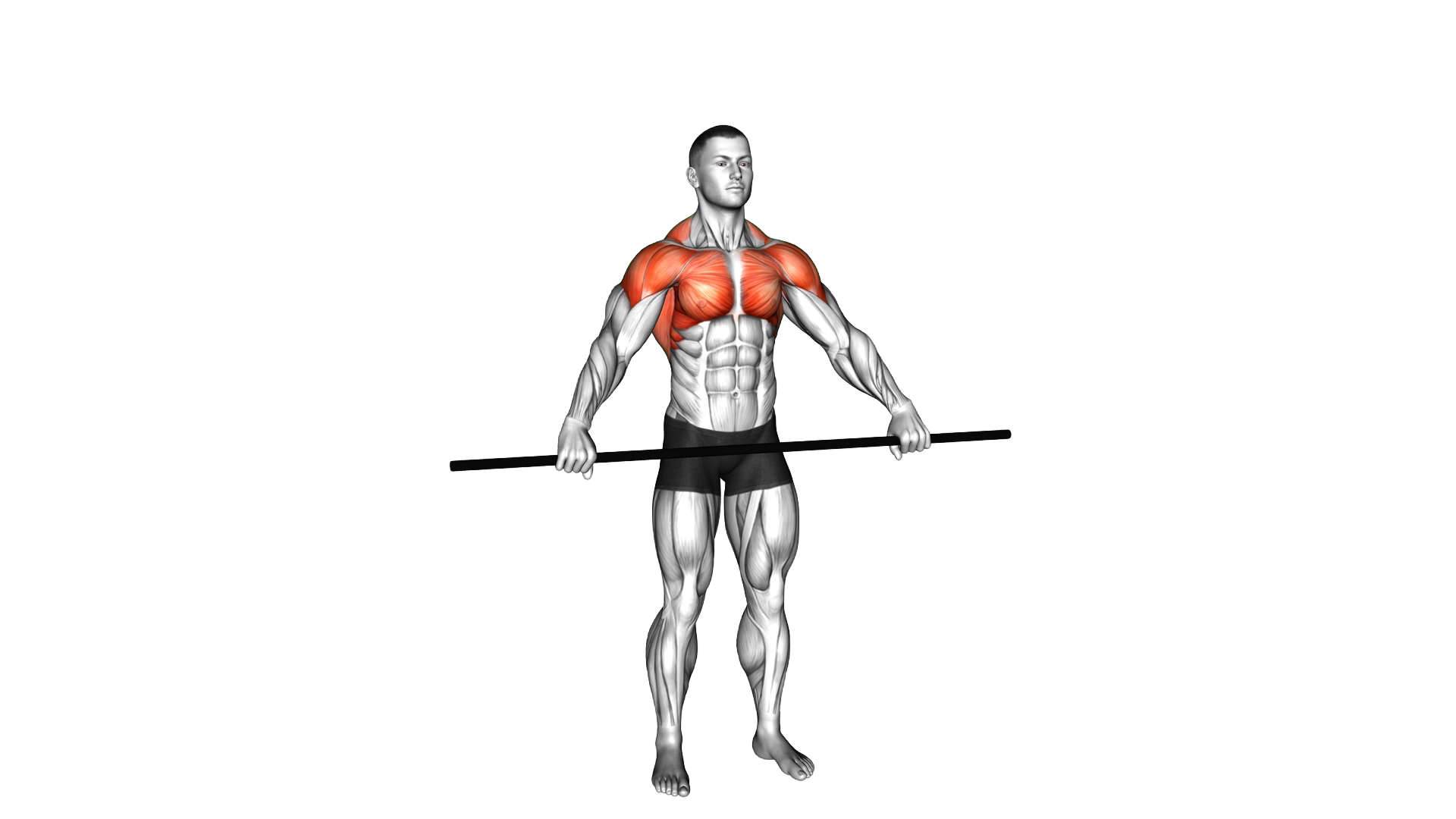 PVC Pass Through exercise demonstration